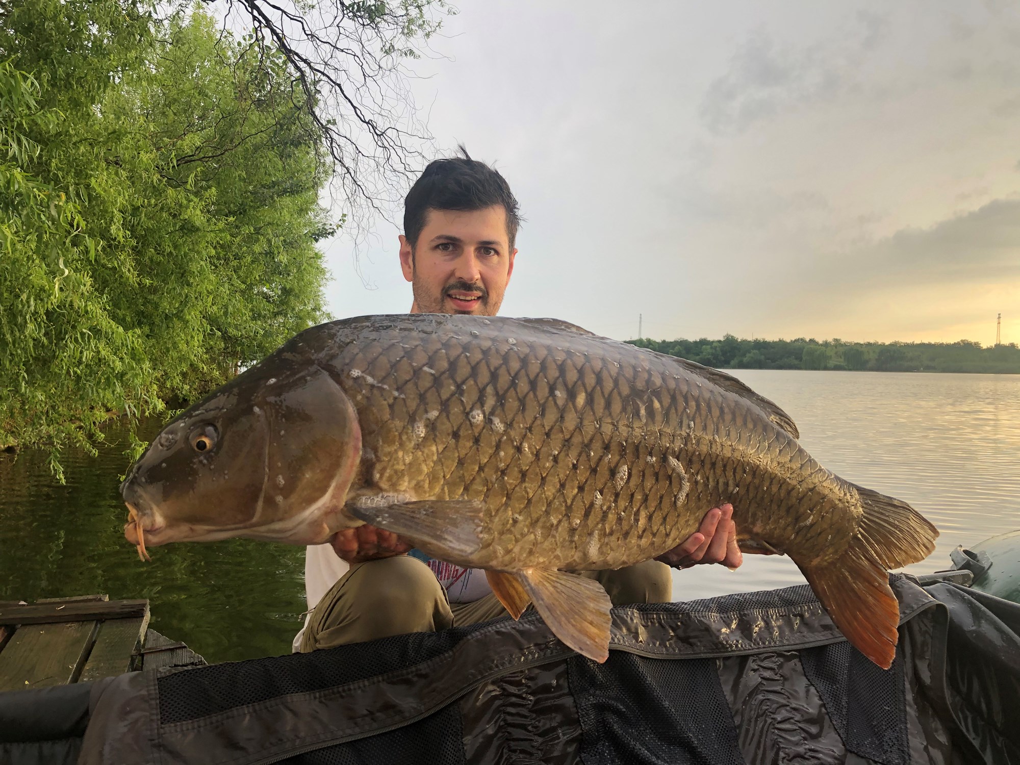 Tancabesti 22 - 25 iun. - 15 kg